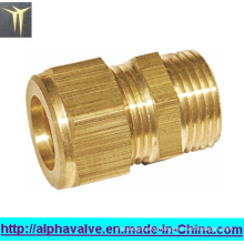 Brass Pipe Fitting (a. 0469)